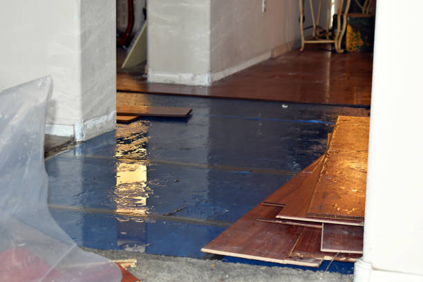Professional Sewage Cleanup technician working in Quincy, MI